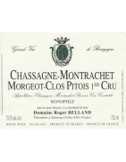 CHASSAGNE MONTRACHET CLOS PITOIS 1ER CRU (Monopole du Domaine)