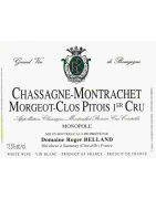 CHASSAGNE-MONTRACHET CLOS PITOIS 1ER CRU (Monopole du Domaine) 2023